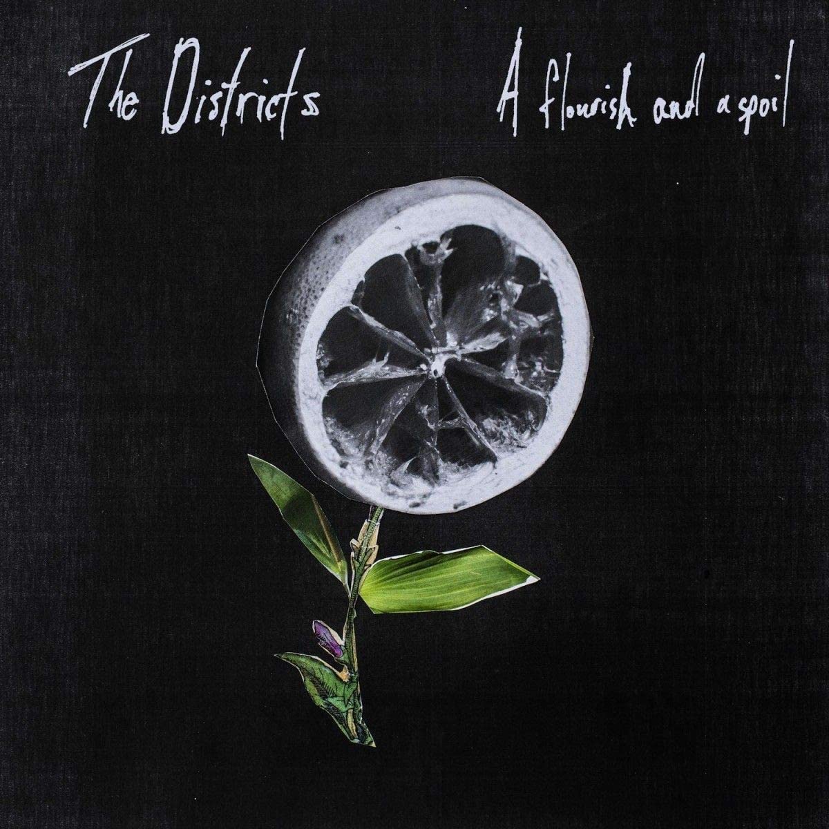 A Florish and a Spoil LP