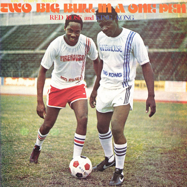 Two Big Bull In A One Pen LP