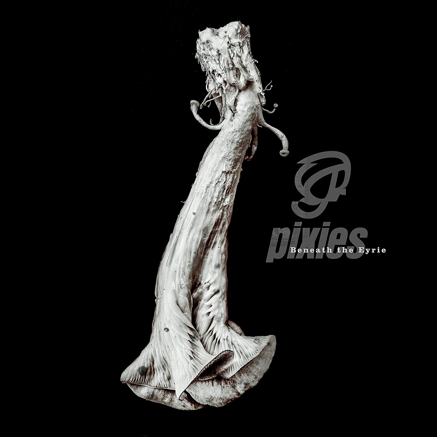 Beneath the Eyrie LP | Vinili Pixies 