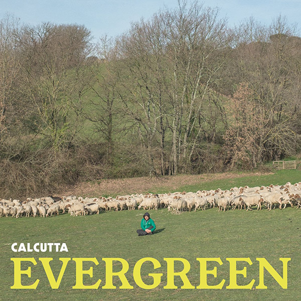 Evergreen LP