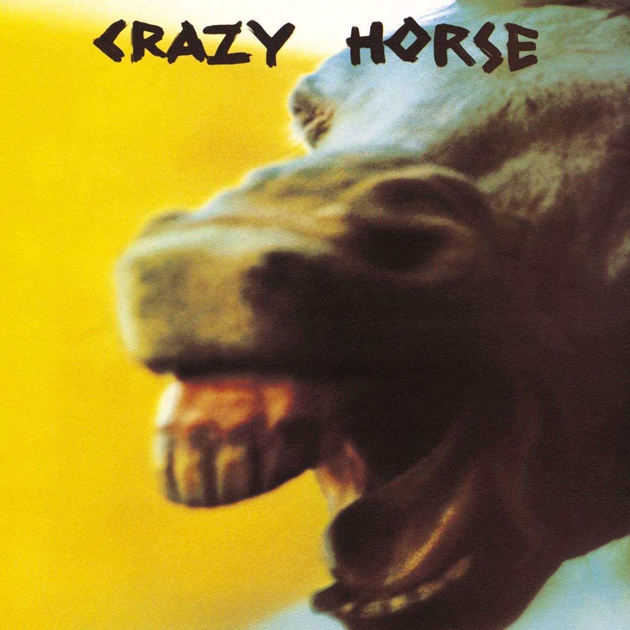 Crazy Horse LP - Vinile Crazy Horse
