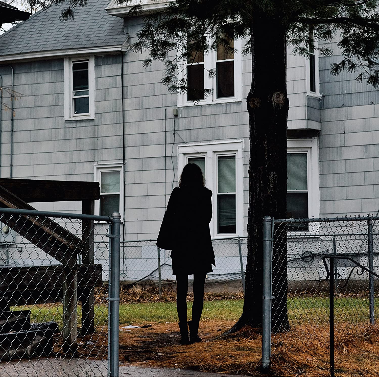 Dark Bird Is Home LP | Vinile The Tallest Man On Earth