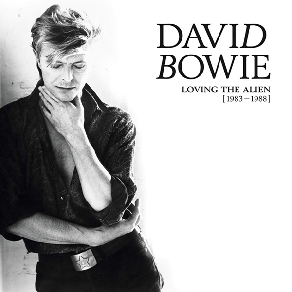 Cofanetto David Bowie 15LP | Loving The Alien