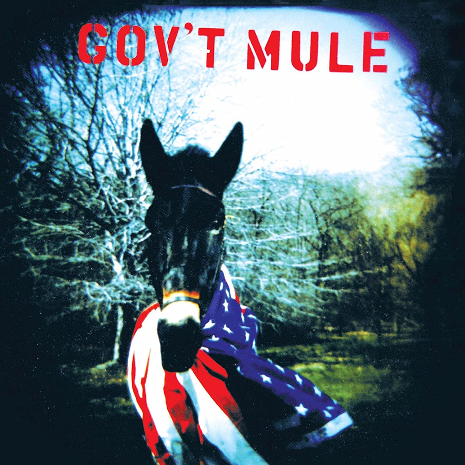 Gov't Mule 2xLP