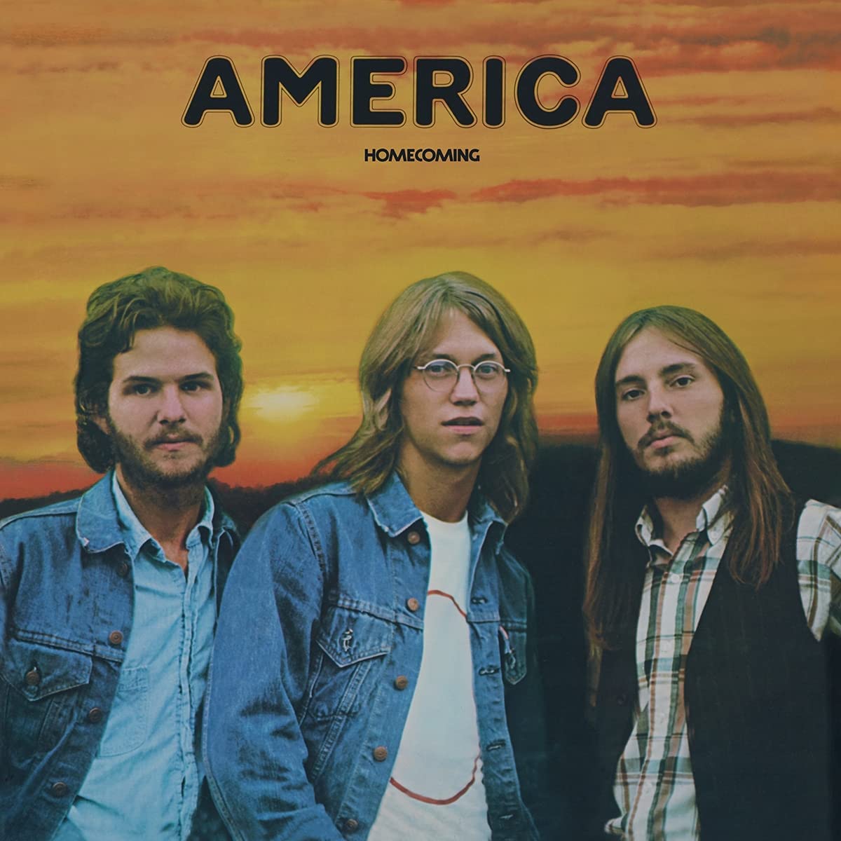 Homecoming LP - Vinile America 