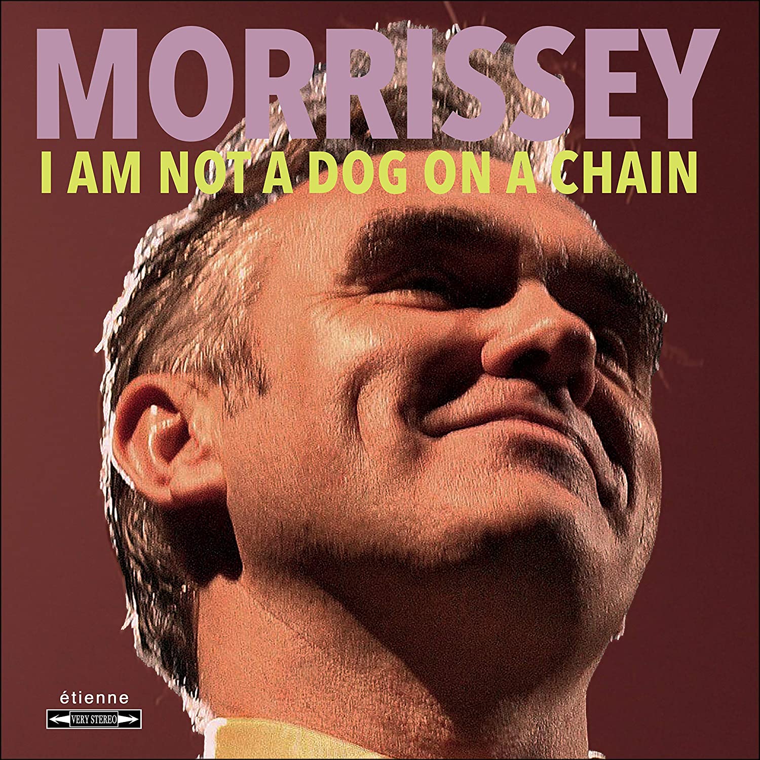 I Am Not a Dog on a Chain LP | Vinili Morrissey