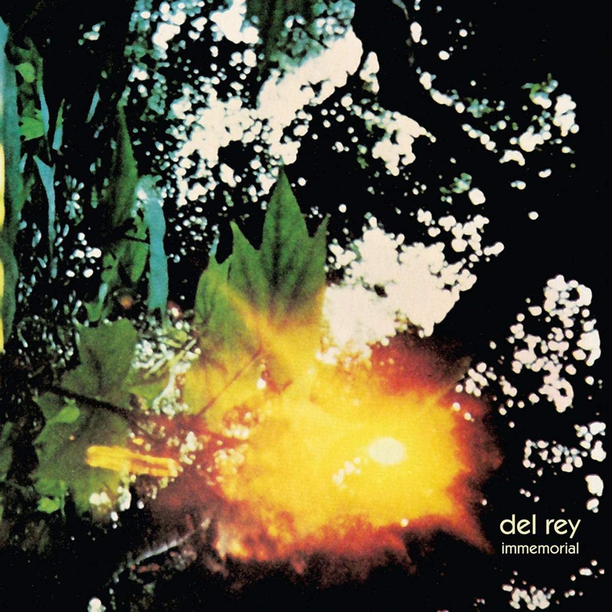 Immemorial LP - Del Rey vinili