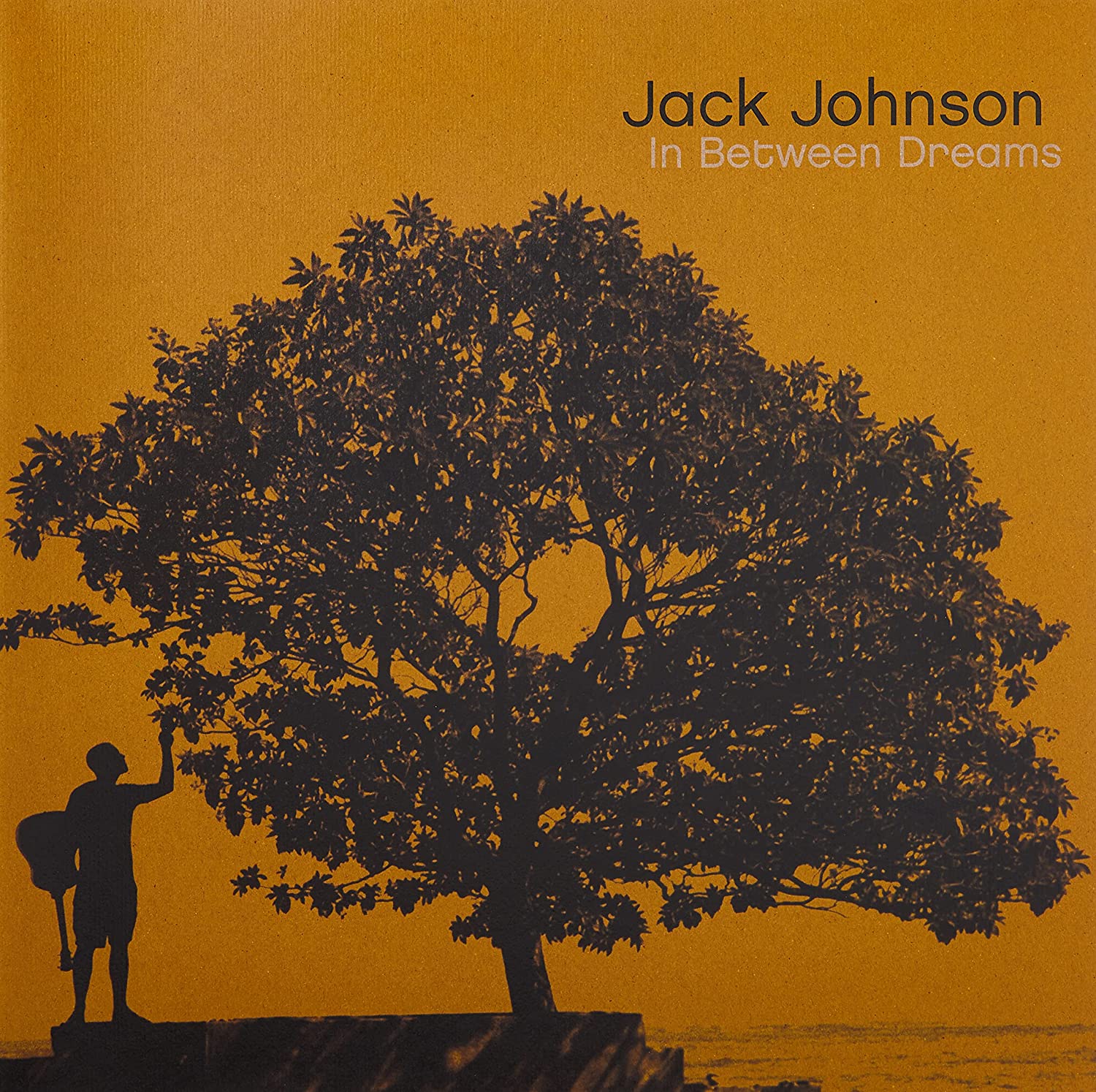 In Between Dreams LP - Vinile Jack Johnson