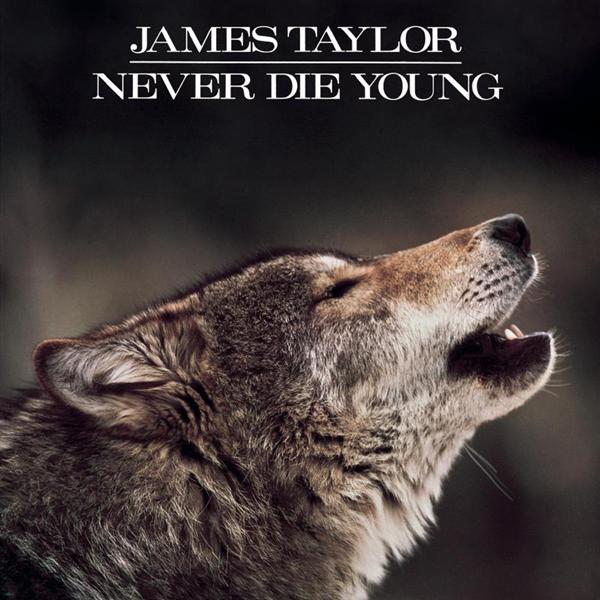Never Die Young LP | Ristampa Vinile James Taylor