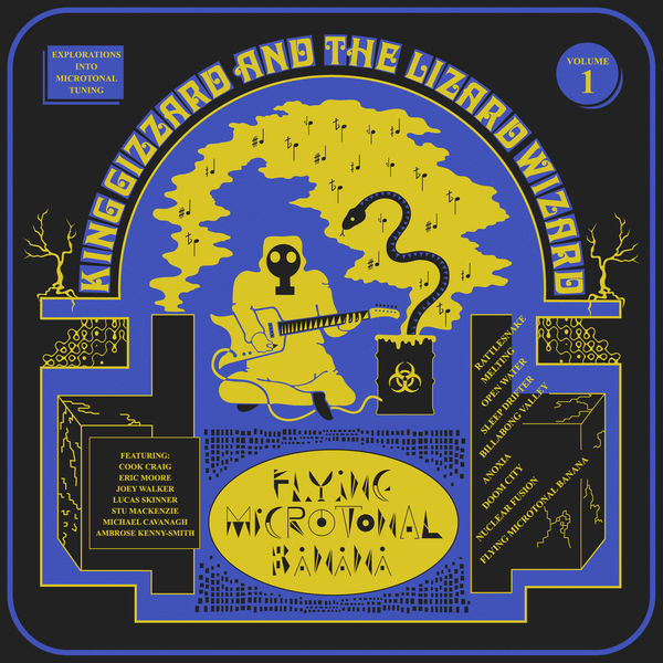 Flying Microtonal Banana LP