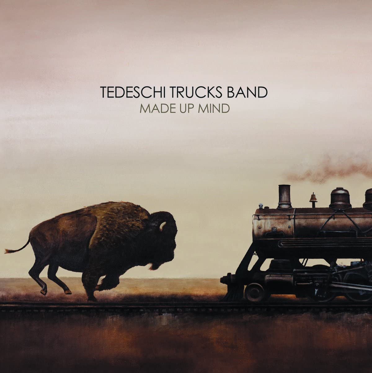 Made Up Mind 2xLP | Vinile Tedeschi Trucks Band