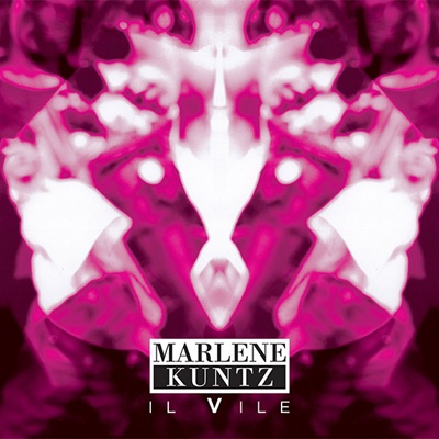 Il Vile   | Vinili Marlene Kuntz