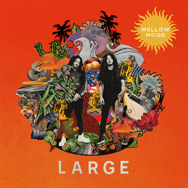 Large LP 