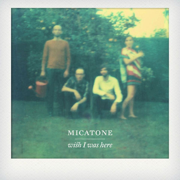 Wish I Was Here LP | Vinile Micatone