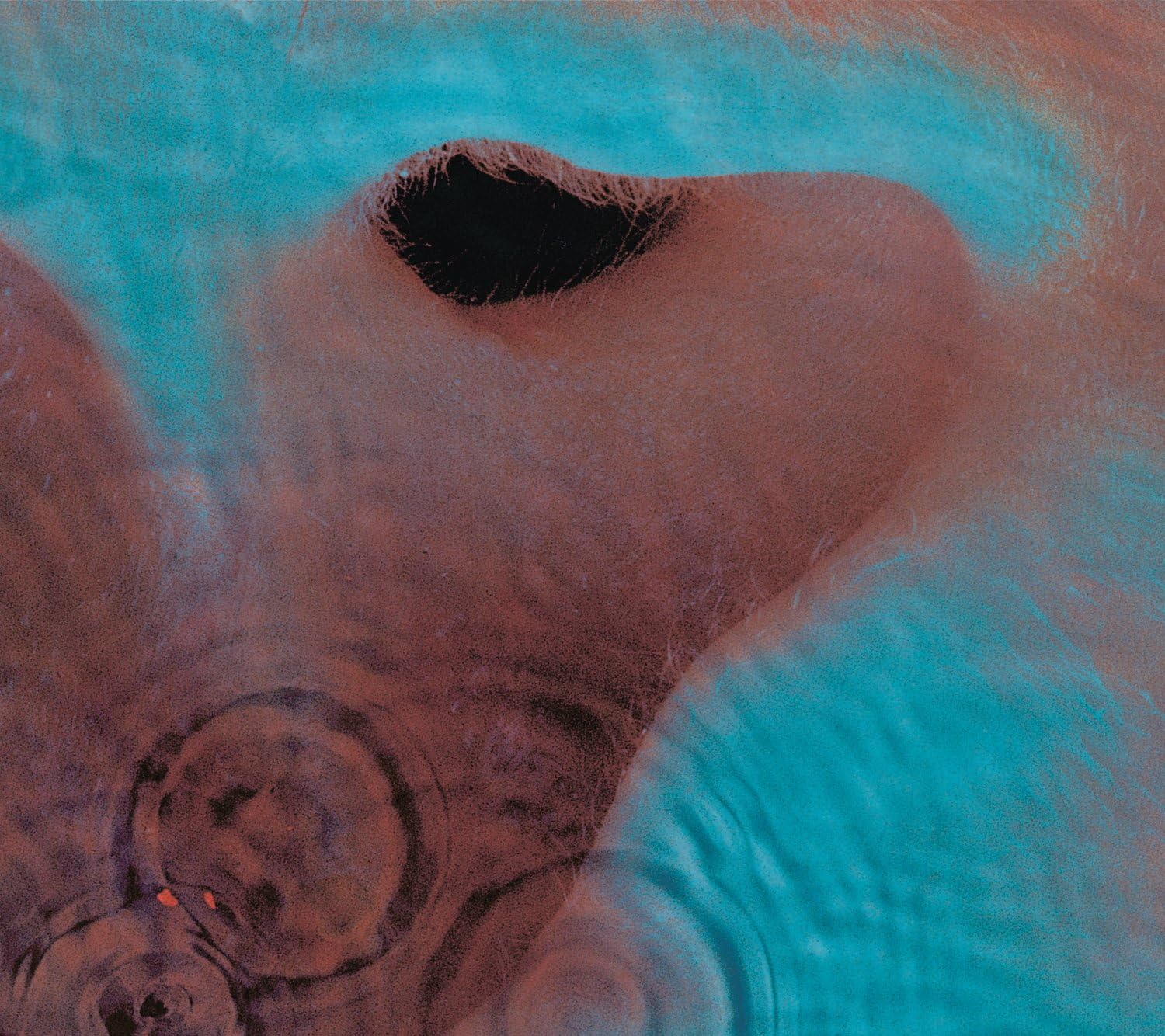 Meddle LP | Vinili Pink Floyd