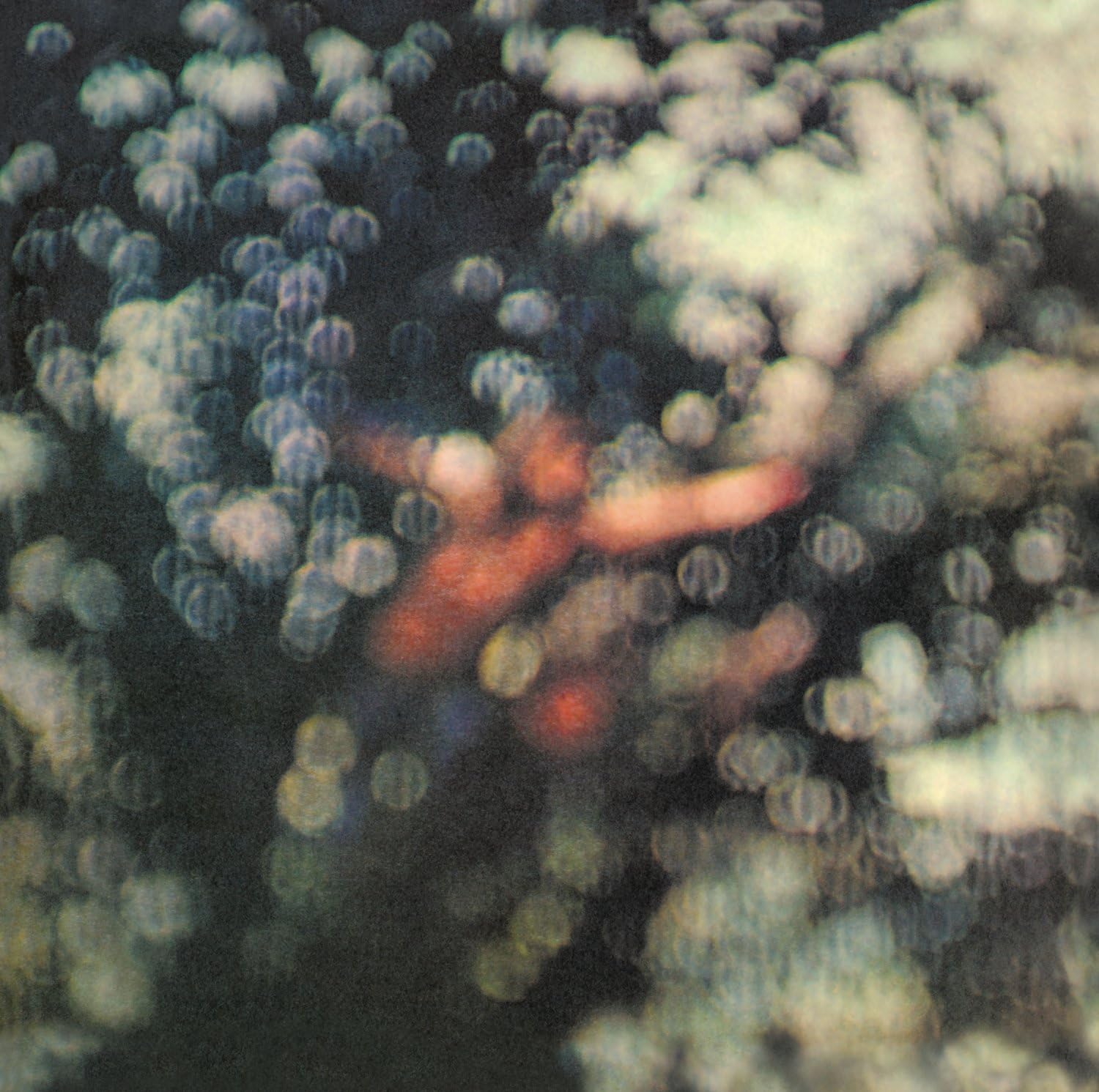 Obscured by Clouds LP | Vinili Pink Floyd