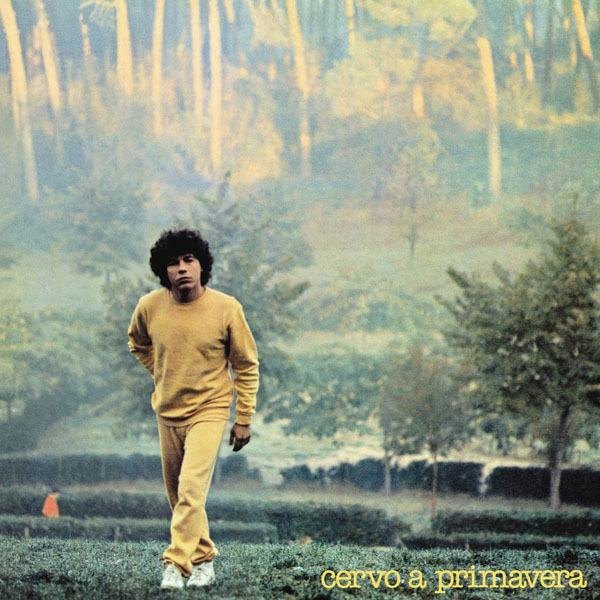 Cervo a Primavera LP | Vinili Riccardo Cocciante