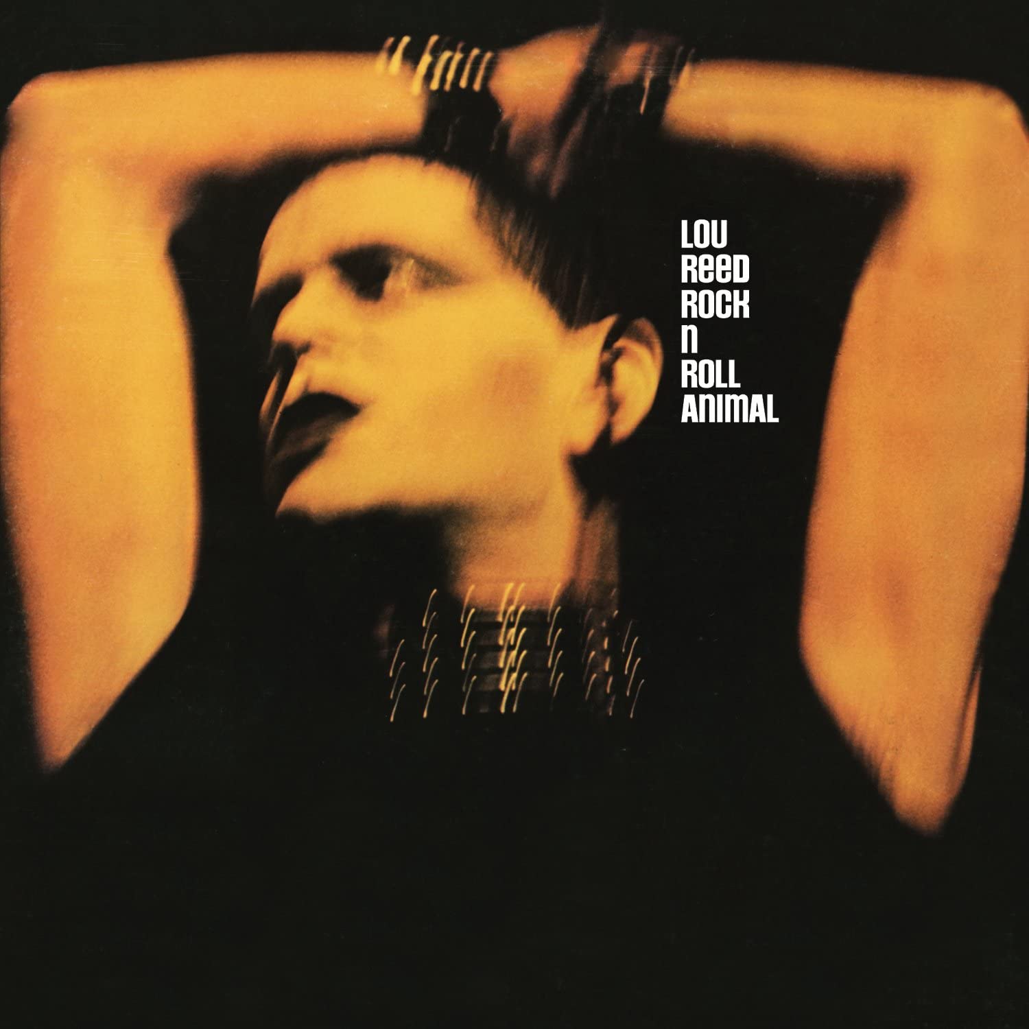 Rock'n Roll Animal LP | Vinile Lou Reed