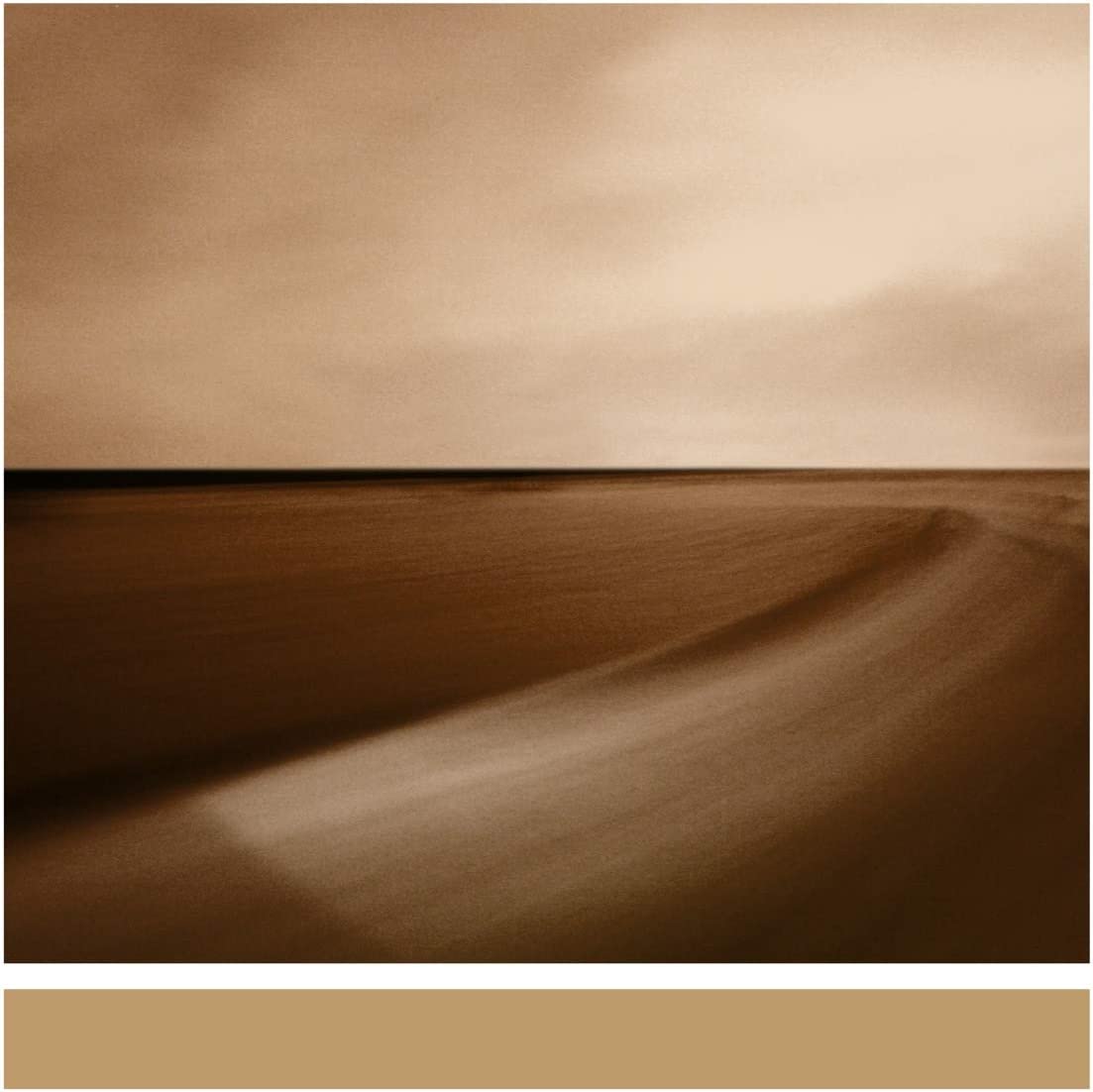 Small Craft On A Milk Sea ìVinili Brian Eno