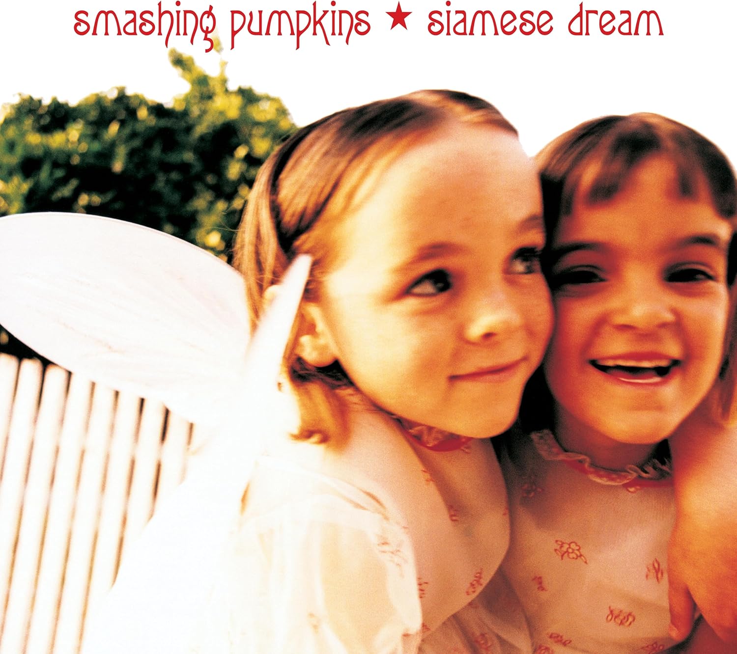 Siamese Dream LP - Smashing Pumpkins