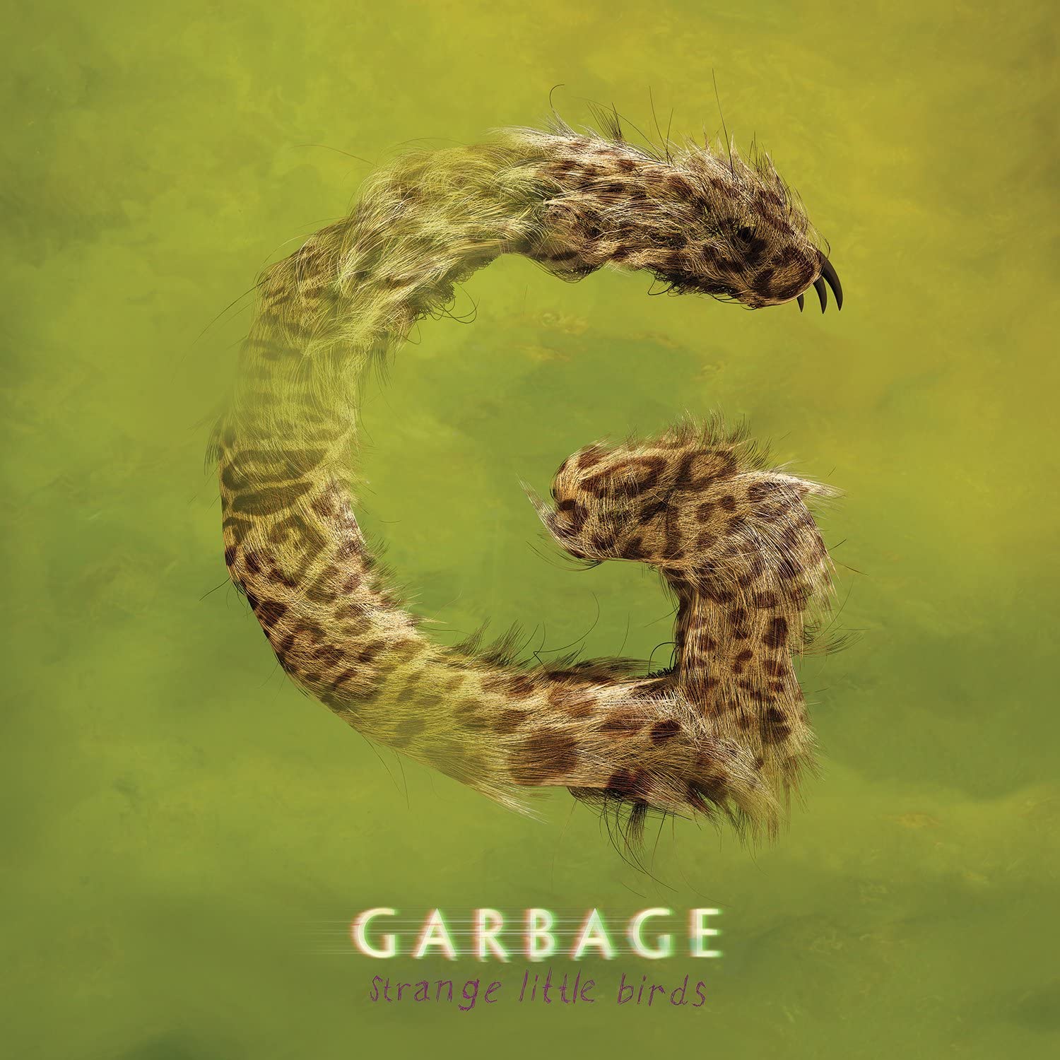 Strange Little Birds 2xLP | Vinili Garbage