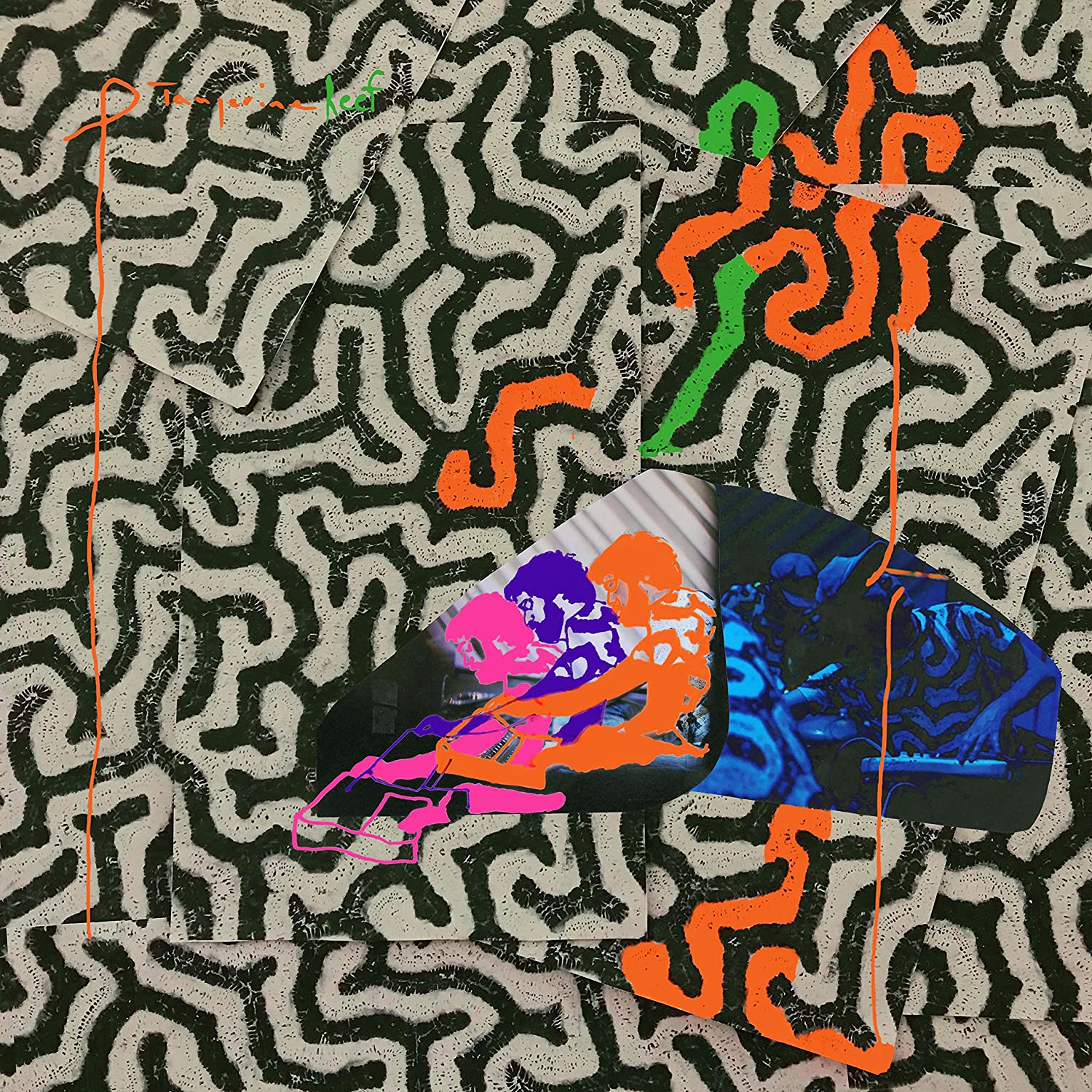 Tangerine Reef 2xLP | Vinili Animal Collective 