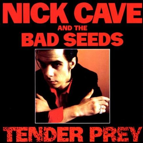 Tender Prey LP