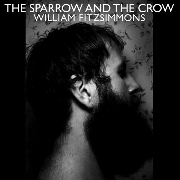 The Sparrow and the Crow LP | Vinili William Fitzsimmons