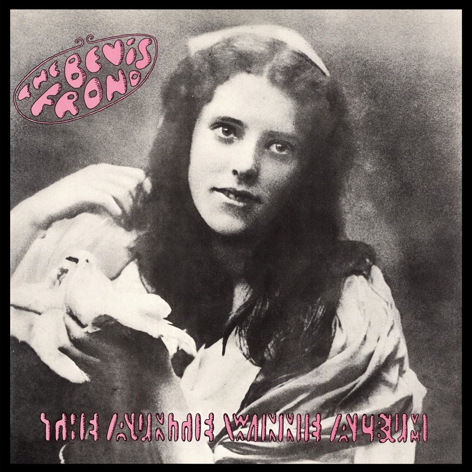 The Auntie Winnie Album 2xLP | Vinile The Bevis Frond