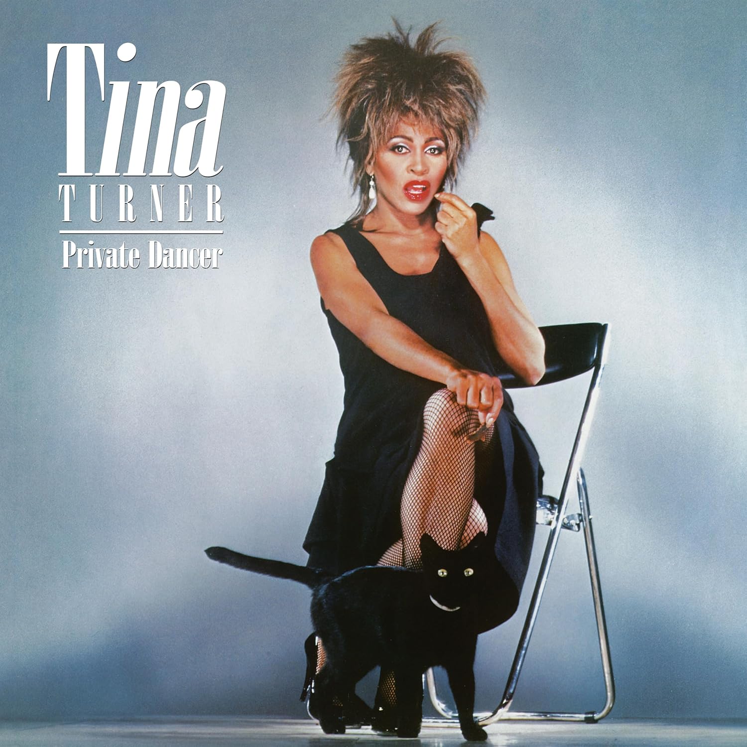 Private Dancer LP
