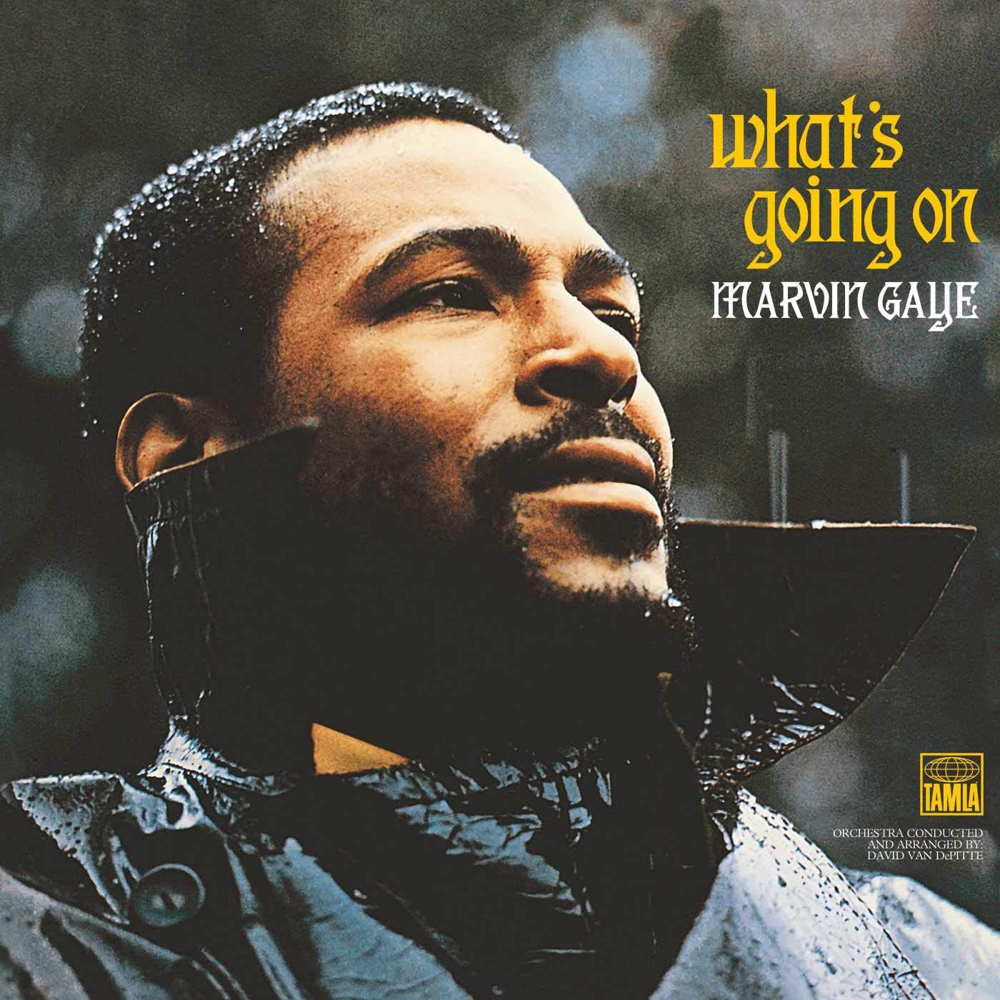 What's Going on LP | Marvin Gaye