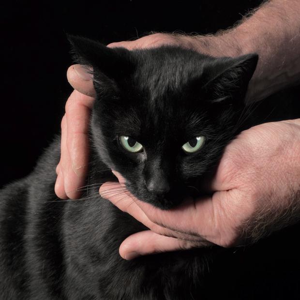 White Death Black Heart LP - Vinile Peter Kernel